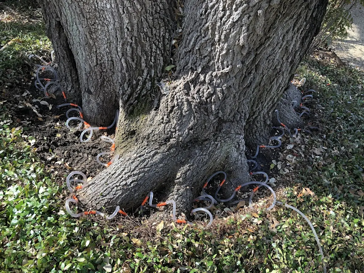 Detailed Shrub and Hedge Trimming job site in New Canton