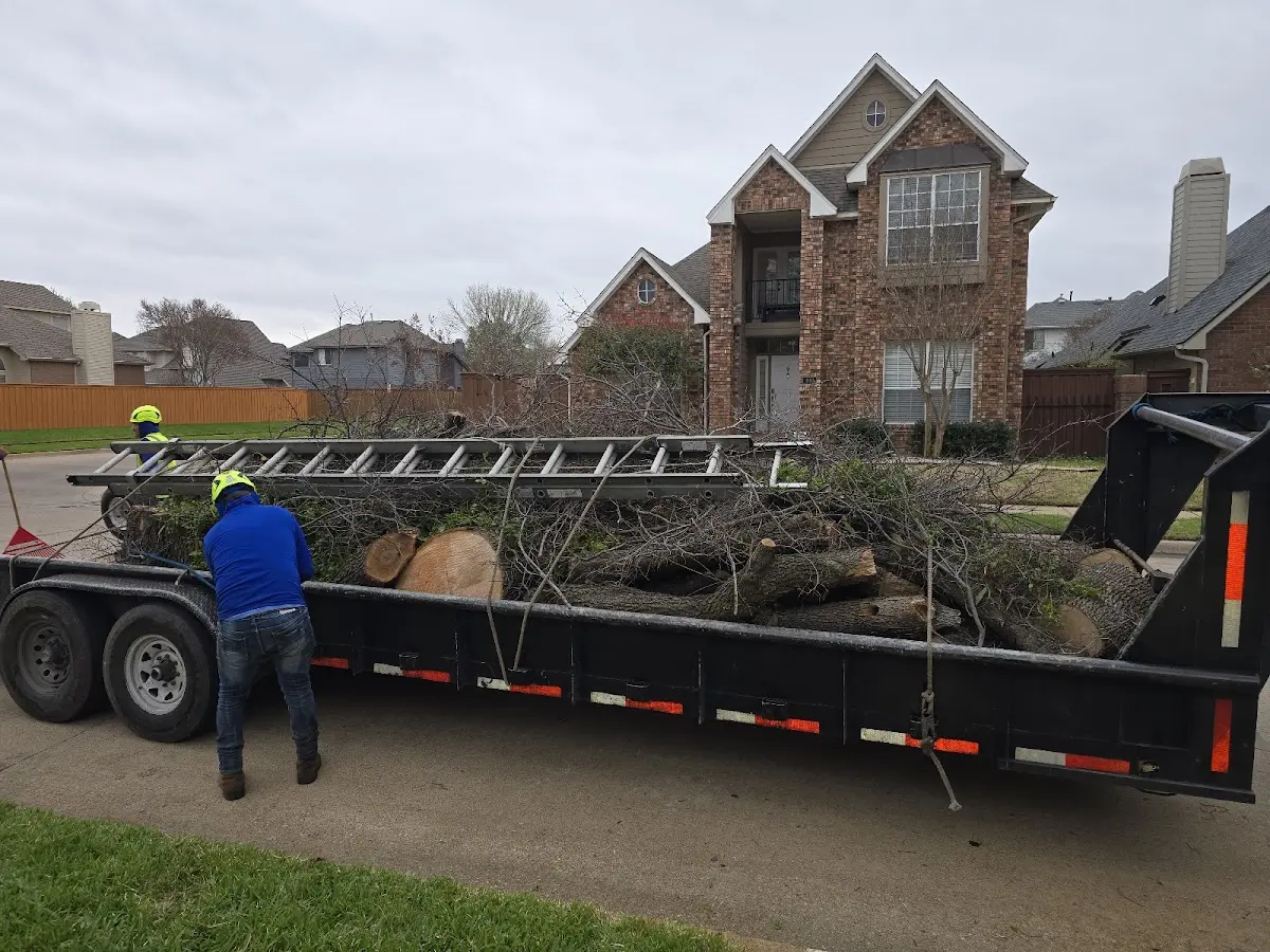 Expert Tree Fertilization with proper safety equipment in New Canton